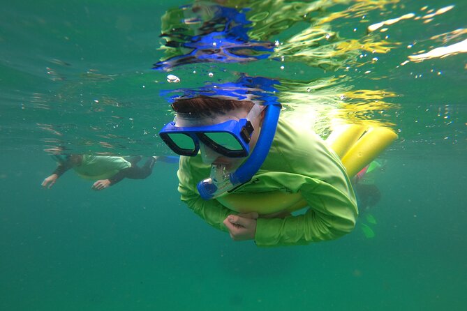 Manly Snorkel Trip and Nature Walk With Local Guide - Nature Walk