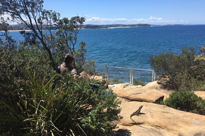 Manly Snorkel Trip and Nature Walk With Local Guide - Additional Details