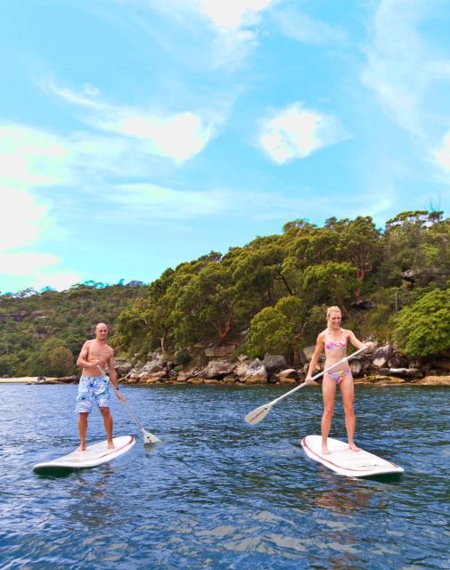 Manly Stand Up Paddle Board Hire - Paddle Past Moored Boats