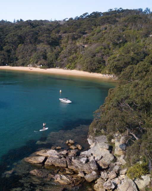 Manly Stand Up Paddle Board Hire - Visit Scenic Beaches
