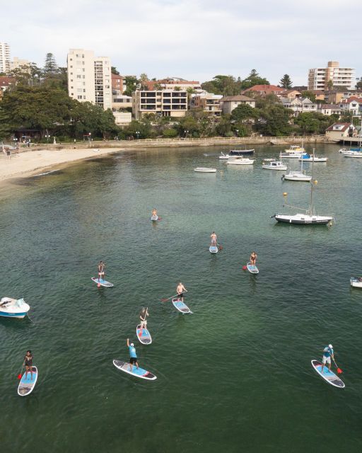 Manly Stand Up Paddle Board Hire - Recap