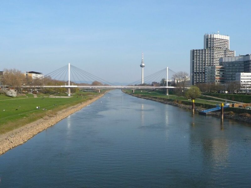 Mannheim: Express Walk With a Local in 60 Minutes - Local Guide and Interaction