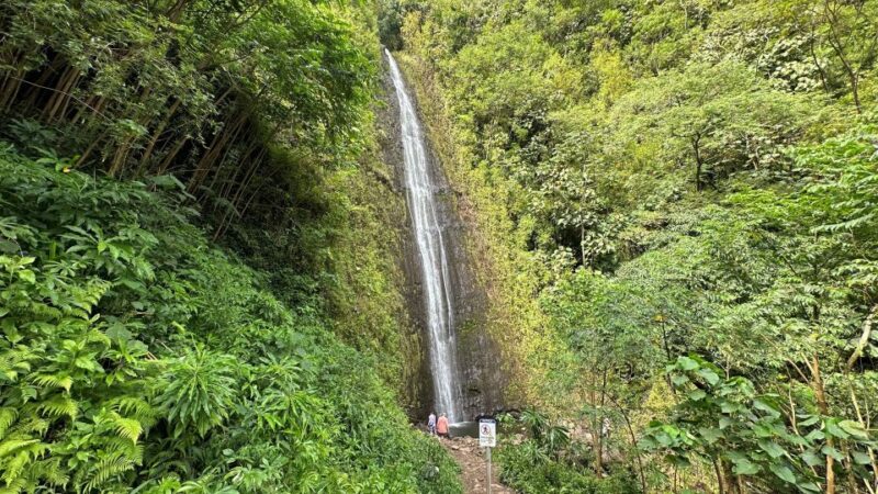 Manoa Falls Ebike to Hike - Itinerary