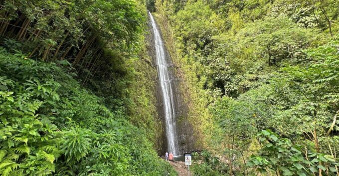 Manoa Falls Ebike to Hike - Hike Specifics