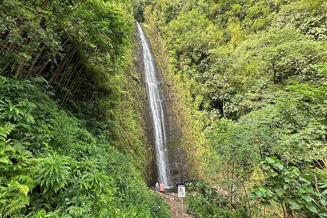 Manoa Falls-Electric Bike to Hike Experience Local Meal Included - Inclusions
