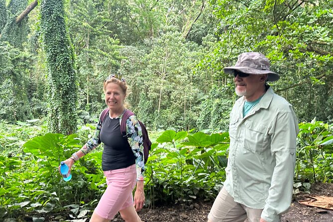 Manoa Falls-Electric Bike to Hike Experience Local Meal Included - Hiking Manoa Falls
