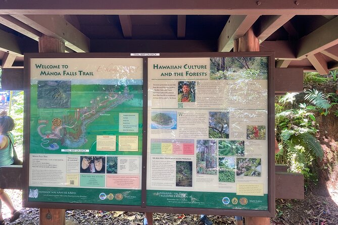 Mānoa Falls Trail Hiking Shuttle - What to Expect on the Hike