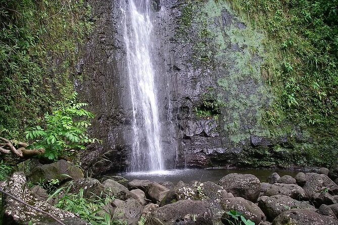 Manoa Falls Waterfall Hike! - Key Points
