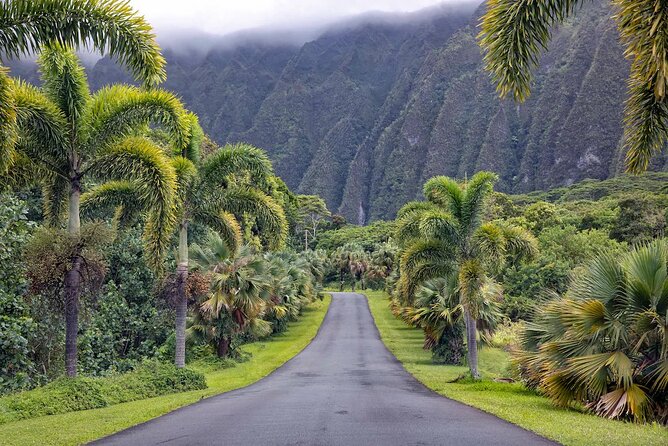 Manoa Falls Waterfall Hike! - Preparation and Packing Tips