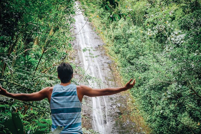 Manoa Waterfall Hike From Waikiki With Healthy Lunch Included - Guided Hike Experience