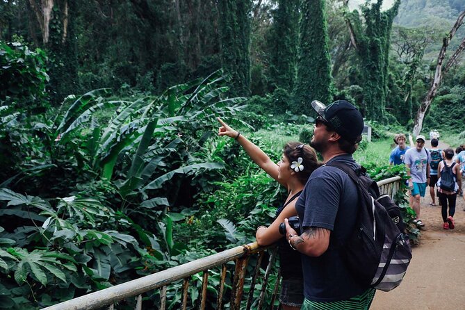 Manoa Waterfall Hike From Waikiki With Healthy Lunch Included - Scenic Lunch at Lookout