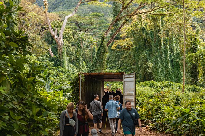 Manoa Waterfall Hike From Waikiki With Healthy Lunch Included - Booking and Confirmation
