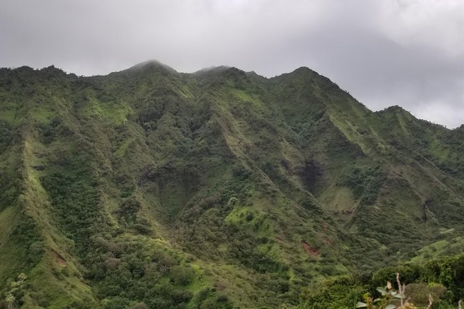 Manoa Waterfalls Hike and Lookout Visit: Pickup Included - Inclusions and Pickup Details