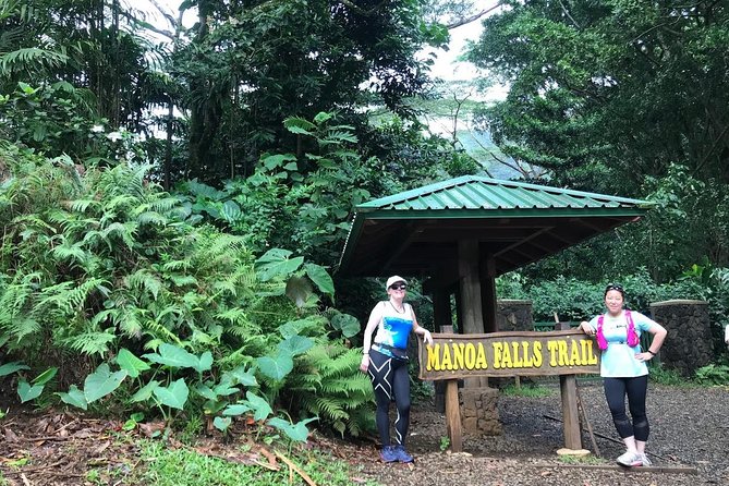 Manoa Waterfalls Hike With Local Guide - Meeting and Pickup