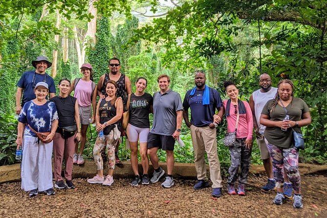 Manoa Waterfalls Hike With Local Guide - Difficulty and Fitness