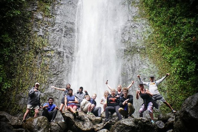 Manoa Waterfalls Hike With Local Guide - Transportation and Accessibility