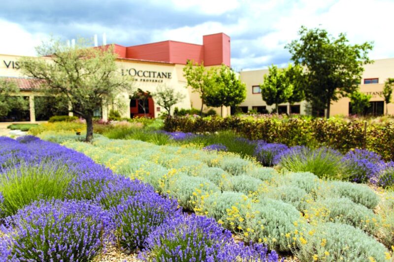 Manosque: Loccitane En Provence Guided Factory Tour - Key Points