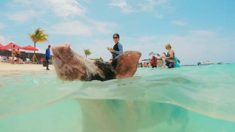 Mansa Bay w/ Swimming Pigs, Banana Boat, JetSki & Snorkeling - Final Thoughts on Value and Suitability