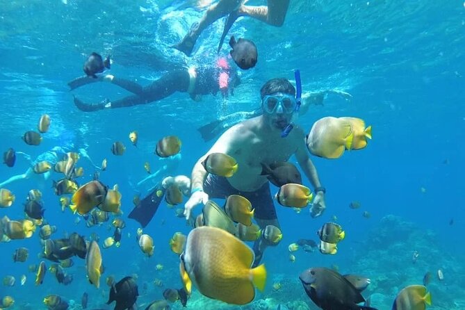 Manta Bay Snorkeling Adventure With Kelingking Beach Nusa Penida All Inclusive - Itinerary and Activities