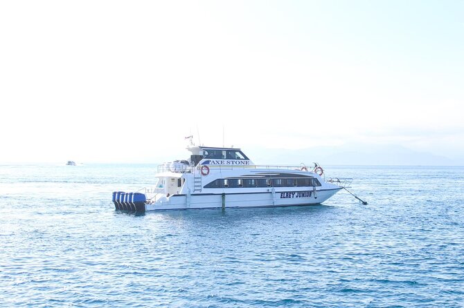 Manta Bay Snorkeling Adventure With Kelingking Beach Nusa Penida All Inclusive - Accessibility and Amenities