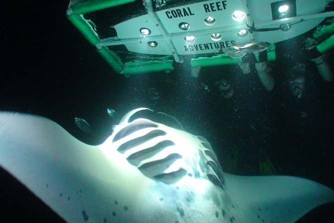 Manta Mania - Manta Ray Night Snorkel - Small-Group Experience In Kona, Hawaii - Whats Included in the Tour