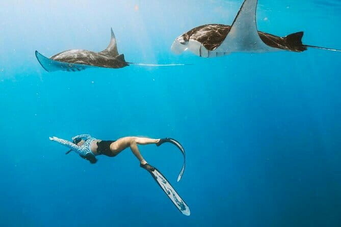 Manta Point Snorkeling & West Nusa Penida Island Day Tour - Insights from Reviewers