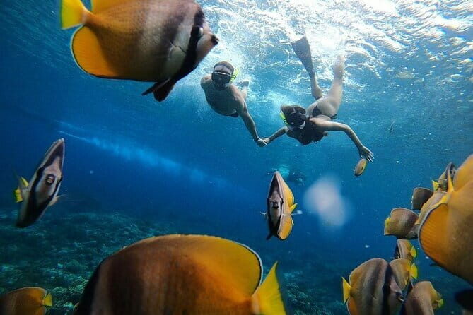 Manta Point Snorkeling & West Nusa Penida Island Day Tour - Who Will Love This Tour?