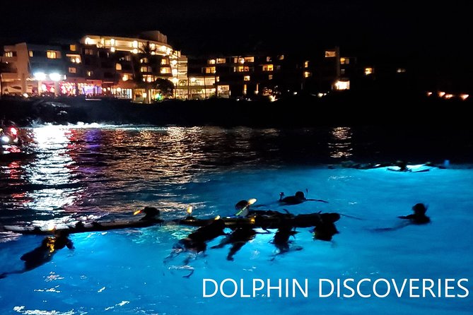 Manta Ray Night Snorkel at Kona, Big Island - Additional Information