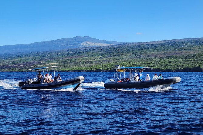Manta Ray Night Snorkel at Kona, Big Island - Positive Reviews