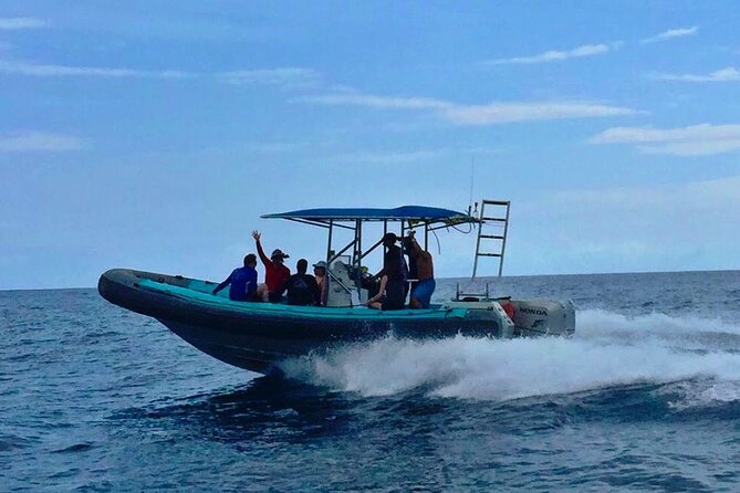 Manta Ray Night Snorkel at Kona, Big Island - Safety Considerations