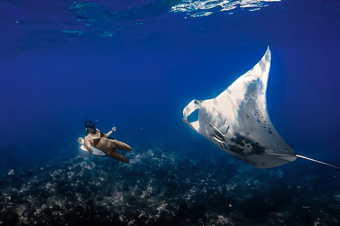 Manta Ray Night Snorkel & Sunset Cruise, Kona, Big Island Hawaii - Inclusion Details
