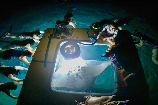 Manta Ray Snorkel Experience - Key Points