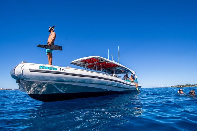Manta Ray Snorkel Moonlight Kona Hawaii- Small Group - Review Highlights
