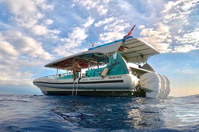 Manta Ray Snorkel Moonlight Kona Hawaii- Small Group - Weight and Age Restrictions