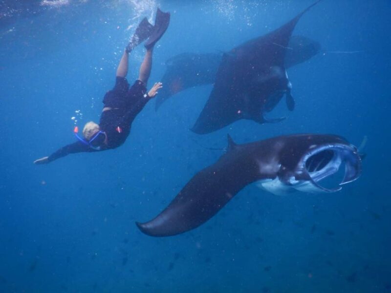 Manta Tour in Nusa Lembongan and Nusa Penida - Itinerary and Pickup