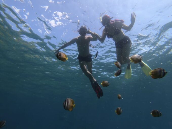 Manta Tour in Nusa Lembongan and Nusa Penida - Reviews and Ratings