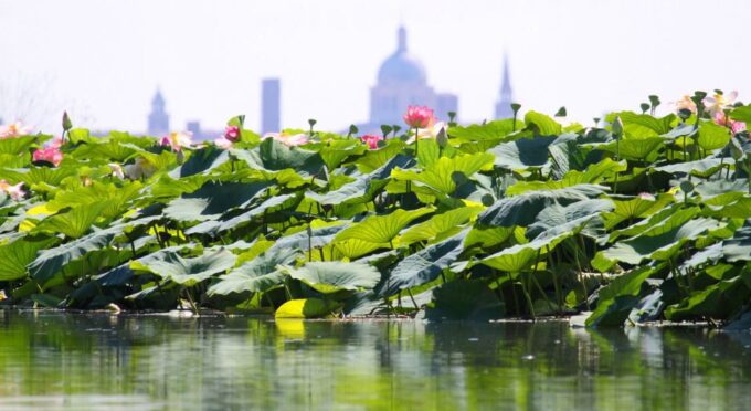 Mantova City Center and Ducal Palace: 3-Hour Guided Tour - Guided Experience
