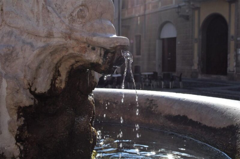 Mantua Private Guided Walking Tour - Booking Information
