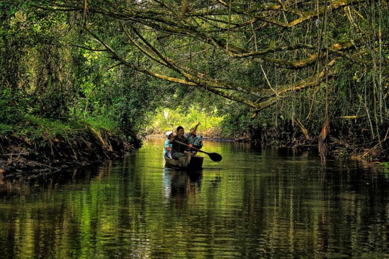 Manu Amazon Tours 5 Days - Key Points