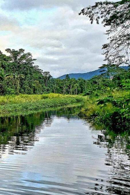 Manu Jungle Excursion 3D - Cloud Forest, Machuwasi, Parrots - Suitability and Recommendations