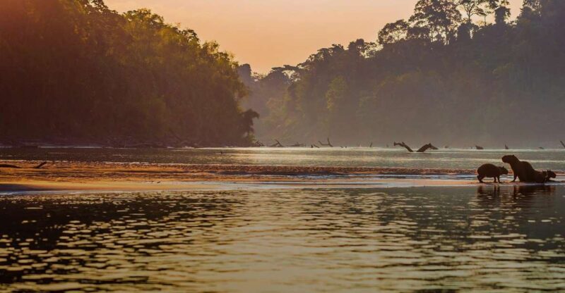 Manu Jungle Tour 3 Days - Day 1: Andes to Amazon