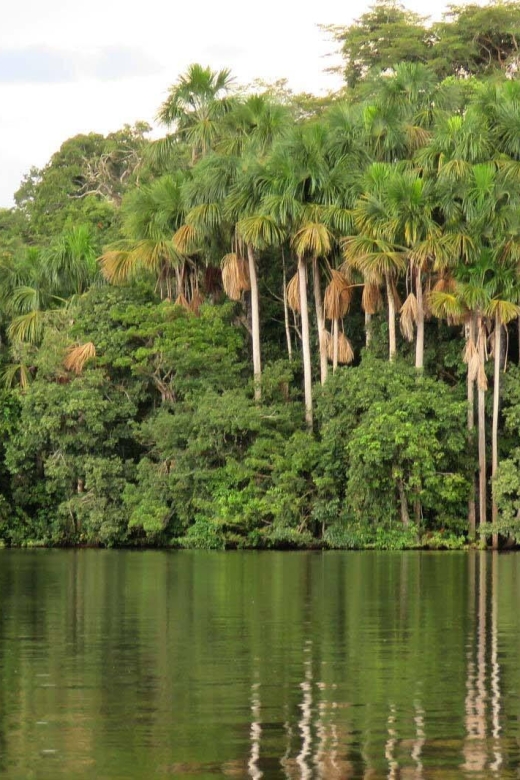 Manu Jungle Tour 4 Days - Inclusions