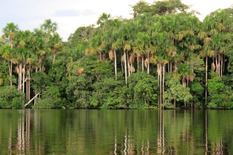 Manu Jungle Tour 4 Days - Return to Cusco