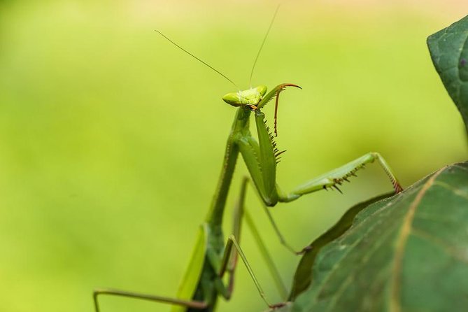 Manu Jungle Tour (4 Days) - Exploring Manu National Park