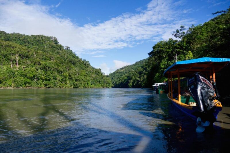Manu National Park 4 Days - Itinerary Highlights