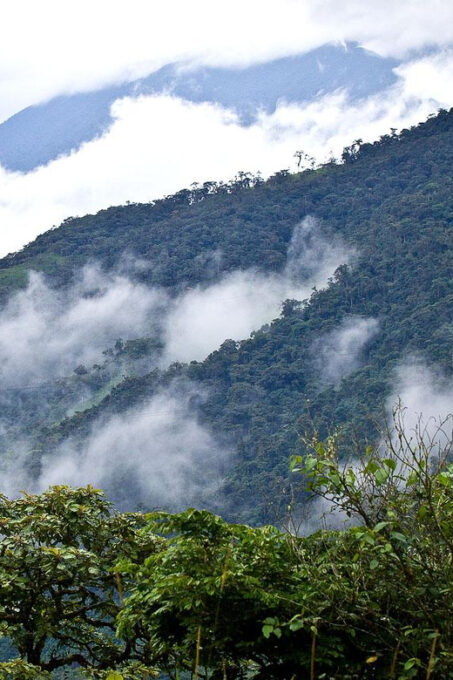 Manu National Park 4 Days - Lodge Accommodation Details