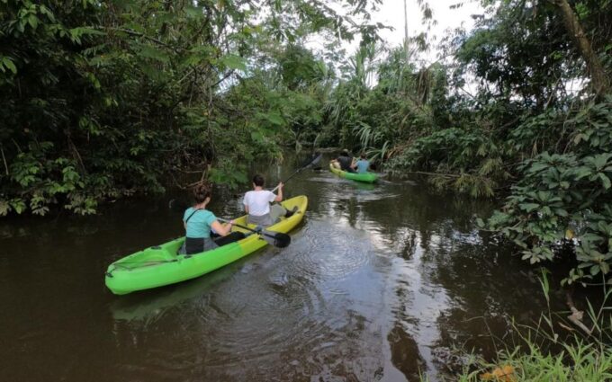 Manu National Park 4D/3N Ecotourism and Adventure - Day 4: Hot Springs and Return to Cusco