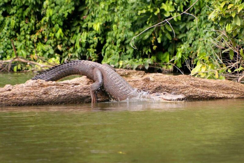 Manu National Park Tour 3 Days - Booking Information