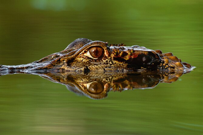 Manu National Park Tour 4 Days - Accommodation and Meals