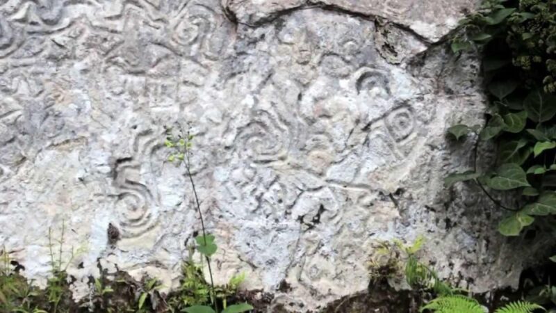 Manu National Reserve 5D | Pusharo Petroglyphs | - Itinerary Highlights